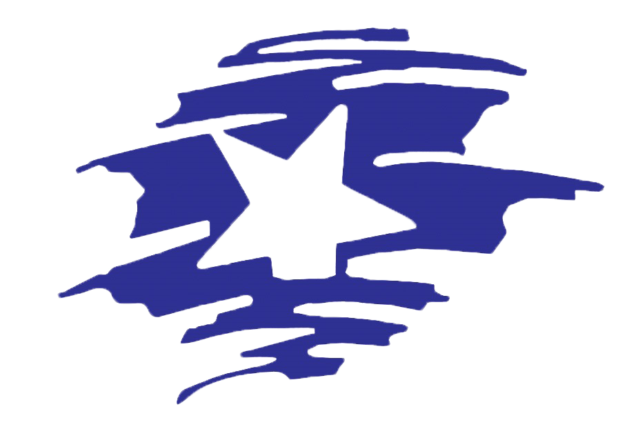 Star Fire and Safety Services Logo